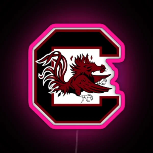 Uofsc Dress RGB Neon Sign
