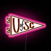 University of South Carolina pennant with neon lights in pink color against a white background.