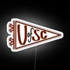 University of South Carolina pennant in neon colors with RGB details.