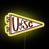University of South Carolina pennant with neon RGB colors on a yellow background.