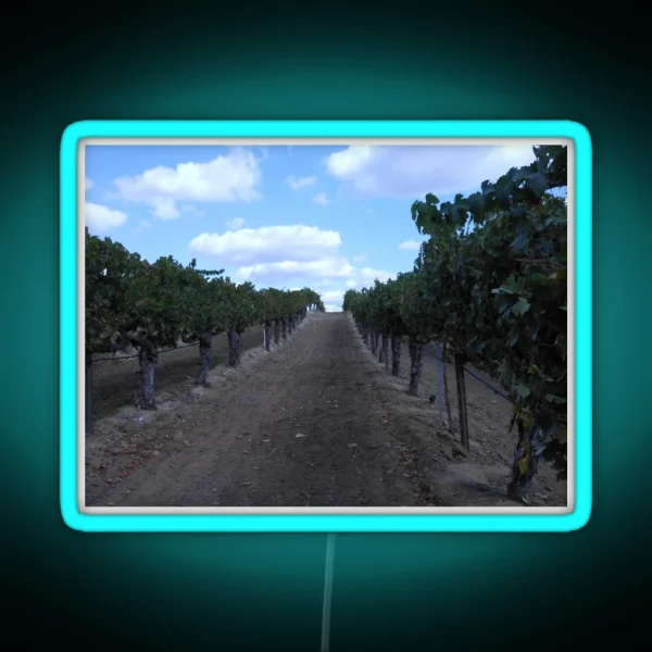VINEYARD GRAPE WINERY ROW RGB Neon Sign