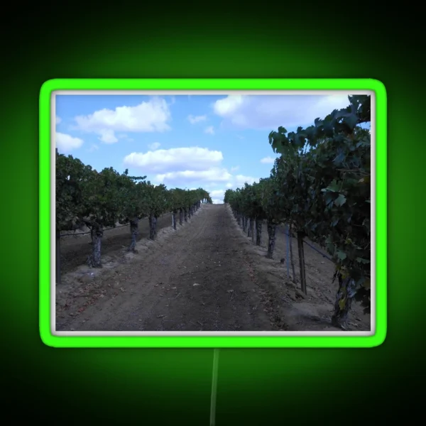 VINEYARD GRAPE WINERY ROW RGB Neon Sign