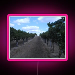 VINEYARD GRAPE WINERY ROW RGB Neon Sign