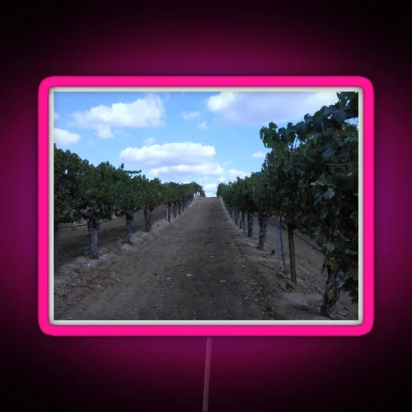 VINEYARD GRAPE WINERY ROW RGB Neon Sign