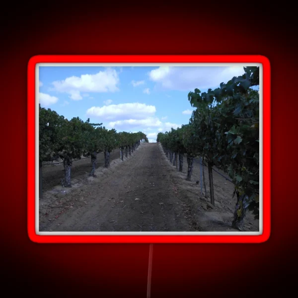 VINEYARD GRAPE WINERY ROW RGB Neon Sign