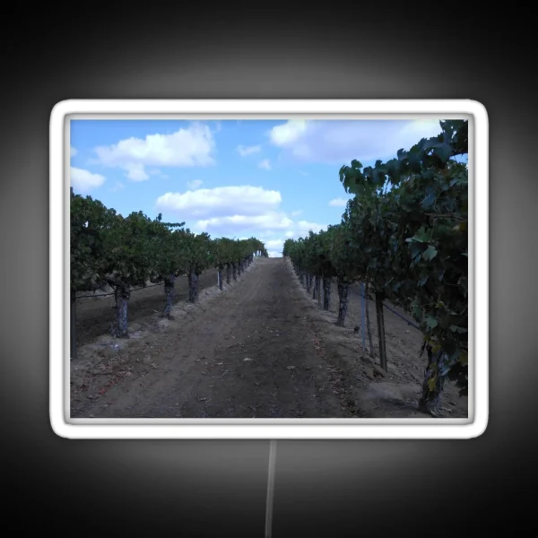 VINEYARD GRAPE WINERY ROW RGB Neon Sign