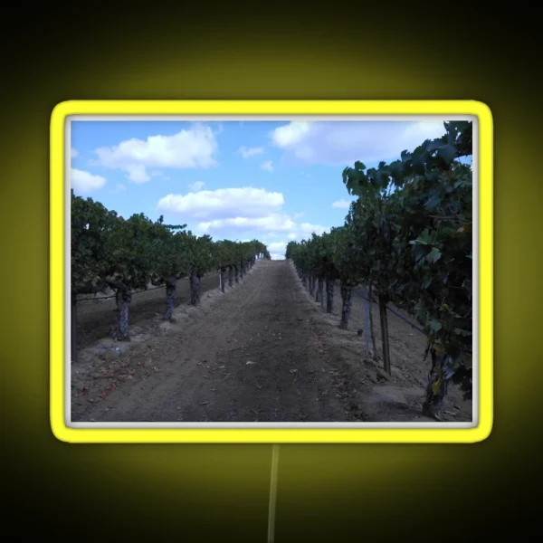 VINEYARD GRAPE WINERY ROW RGB Neon Sign