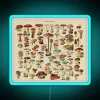 Edible Mushrooms Identification Chart with Neon Accents in RGB Color Scheme - Vintage Design