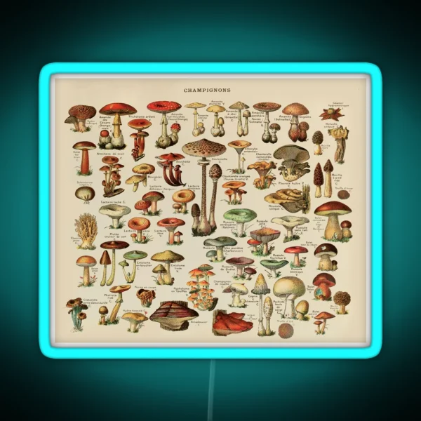 Vintage Edible Mushroom Chart RGB Neon Sign