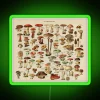 Vintage illustration of edible mushrooms in a neon-lit, colorful chart.