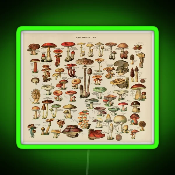 Vintage Edible Mushroom Chart RGB Neon Sign