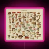 Vintage edible mushroom chart with colorful, neon accents on a pink background.