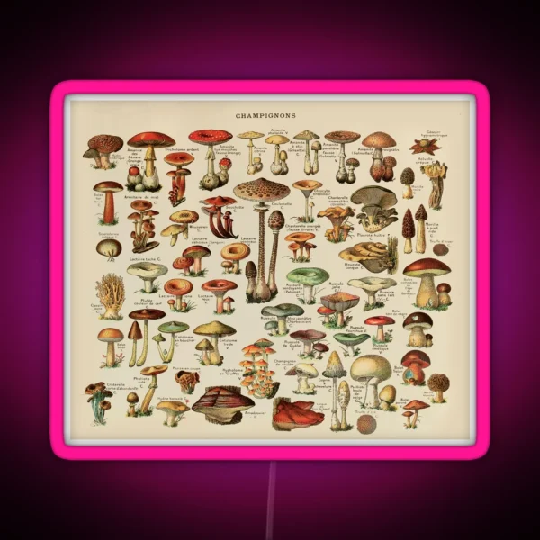 Vintage Edible Mushroom Chart RGB Neon Sign