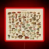 Colorful vintage-style edible mushroom identification chart with neon accents.