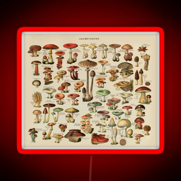 Vintage Edible Mushroom Chart RGB Neon Sign