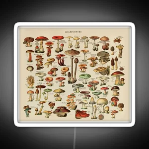 Vintage Edible Mushroom Chart RGB Neon Sign