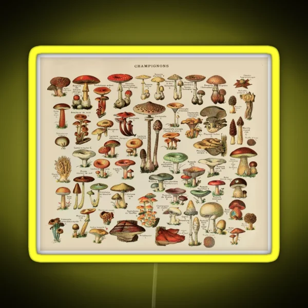 Vintage Edible Mushroom Chart RGB Neon Sign