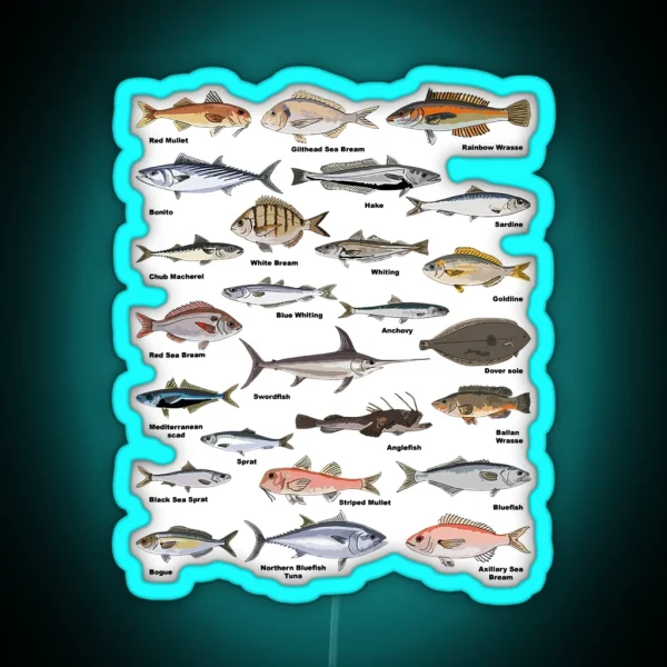 Vintage Fish Identification Chart Fishing RGB Neon Sign