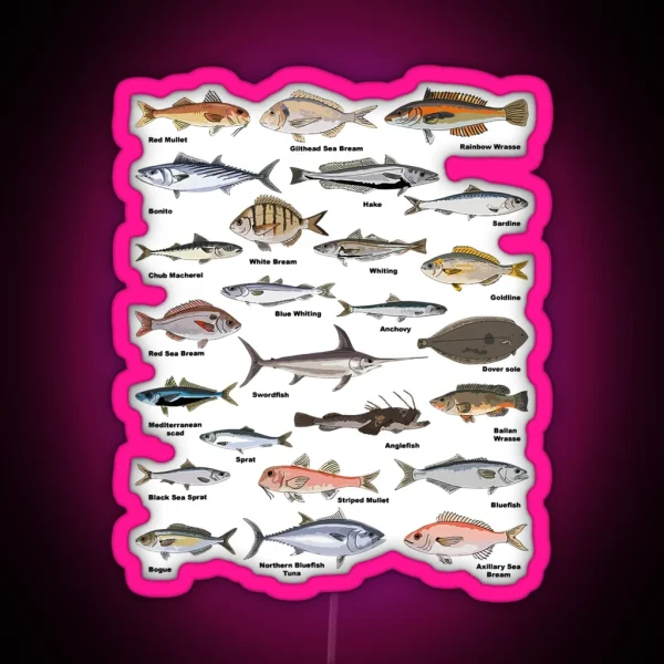 Vintage Fish Identification Chart Fishing RGB Neon Sign