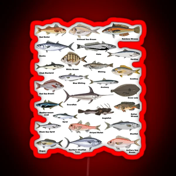 Vintage Fish Identification Chart Fishing RGB Neon Sign