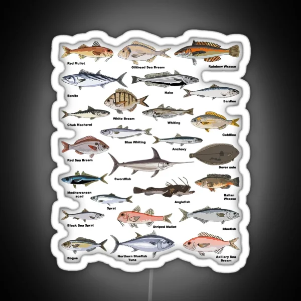 Vintage Fish Identification Chart Fishing RGB Neon Sign