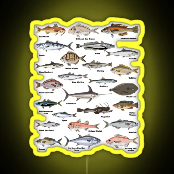 Vintage Fish Identification Chart Fishing RGB Neon Sign