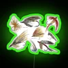 Vintage Fly Fishing Lures Neon Sign