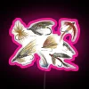 Vintage Fly Fishing Lures with Neon Accents Against a Bright Background