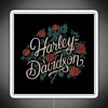 Neon-lit vintage motorcycle logo on a white background.