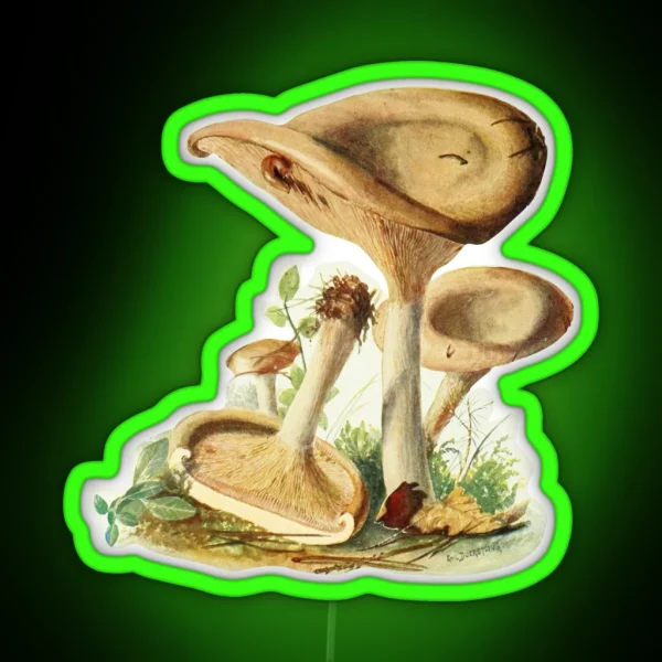 Vintage Mushroom RGB Neon Sign