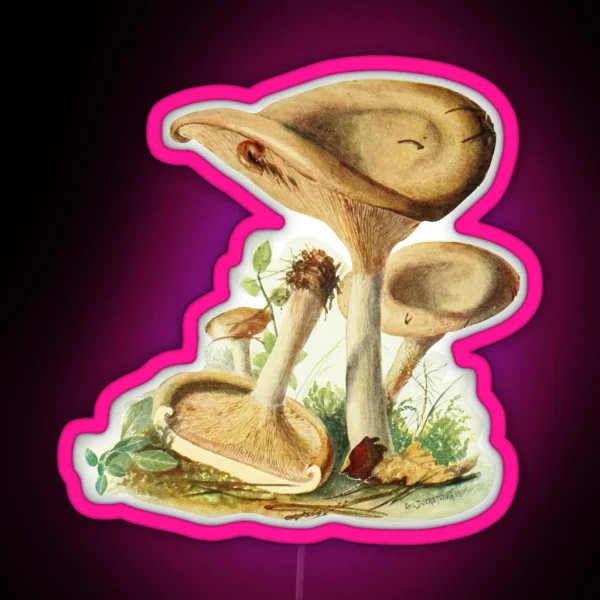 Vintage Mushroom RGB Neon Sign