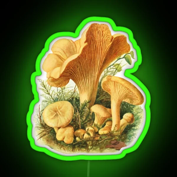 Vintage Mushroom RGB Neon Sign