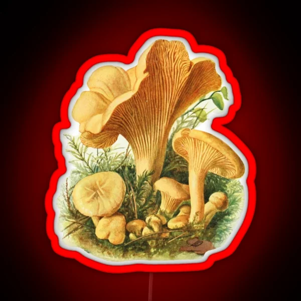 Vintage Mushroom RGB Neon Sign