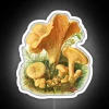 Neon sign with colorful, glowing mushroom design in a vintage style.