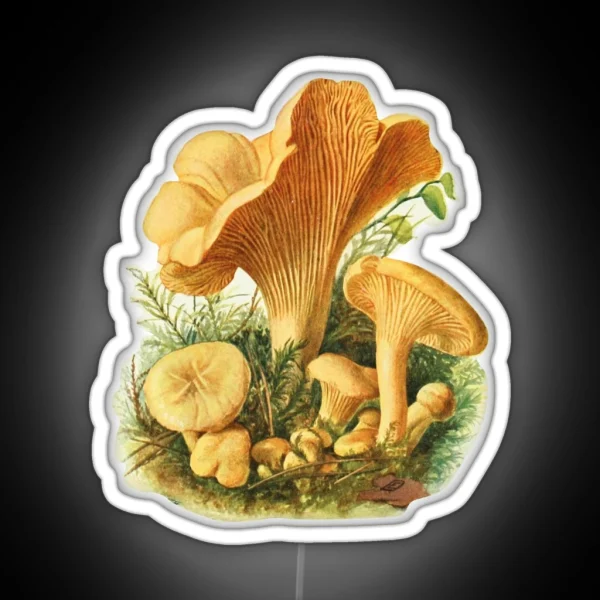 Vintage Mushroom RGB Neon Sign
