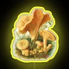 Neon sign featuring a colorful, vintage-style mushroom illustration with bright yellow hues.
