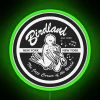 Vintage neon sign of Birdland Jazz Club in New York City, with green accents and colorful RGB lighting.