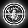Neon sign at Birdland Jazz Club in New York City, vintage style