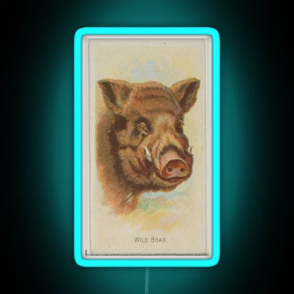 Vintage Wild Boar Illustration 1888 RGB Neon Sign