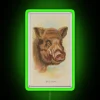Wild boar illustration from 1888 with neon green accents
