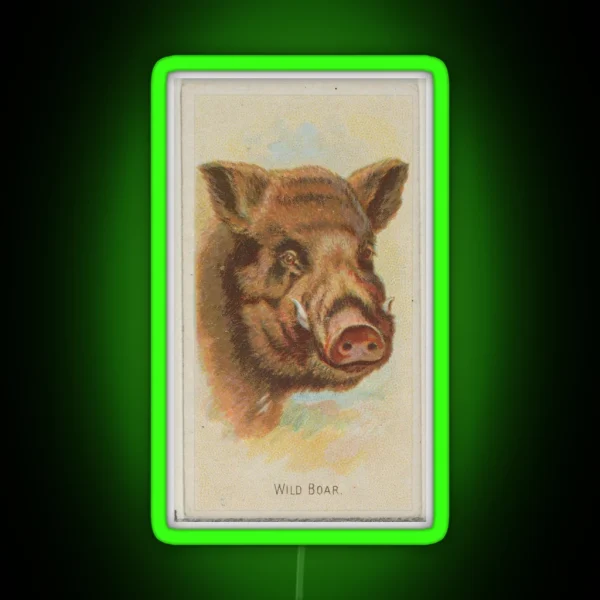 Vintage Wild Boar Illustration 1888 RGB Neon Sign