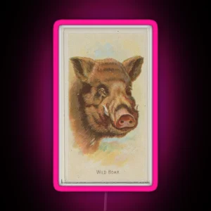 Vintage Wild Boar Illustration 1888 RGB Neon Sign