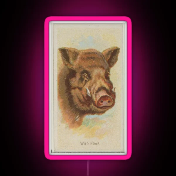 Vintage Wild Boar Illustration 1888 RGB Neon Sign