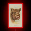 Vintage illustration of a wild boar in neon colors, circa 1888.