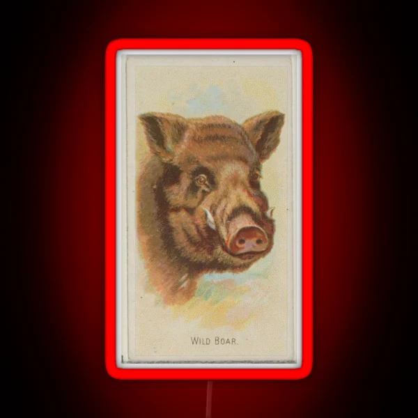 Vintage Wild Boar Illustration 1888 RGB Neon Sign