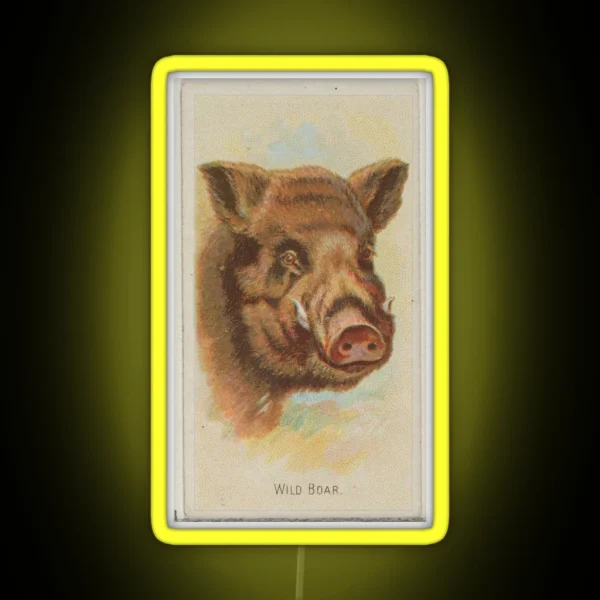 Vintage Wild Boar Illustration 1888 RGB Neon Sign