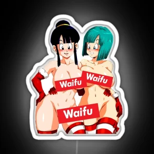 WAIFU Bulma And Chichi The Perfect Waifus From Dragonball RGB Neon Sign