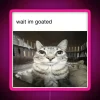 A cat with goatee and pink neon sign in RGB colors