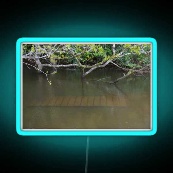 Walkway Under Flood Water RGB Neon Sign