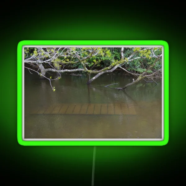 Walkway Under Flood Water RGB Neon Sign